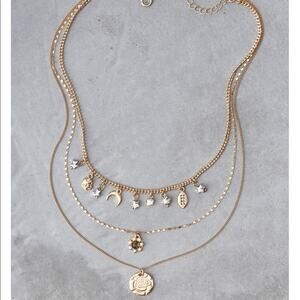 NWT Rose Charm Layered Necklace